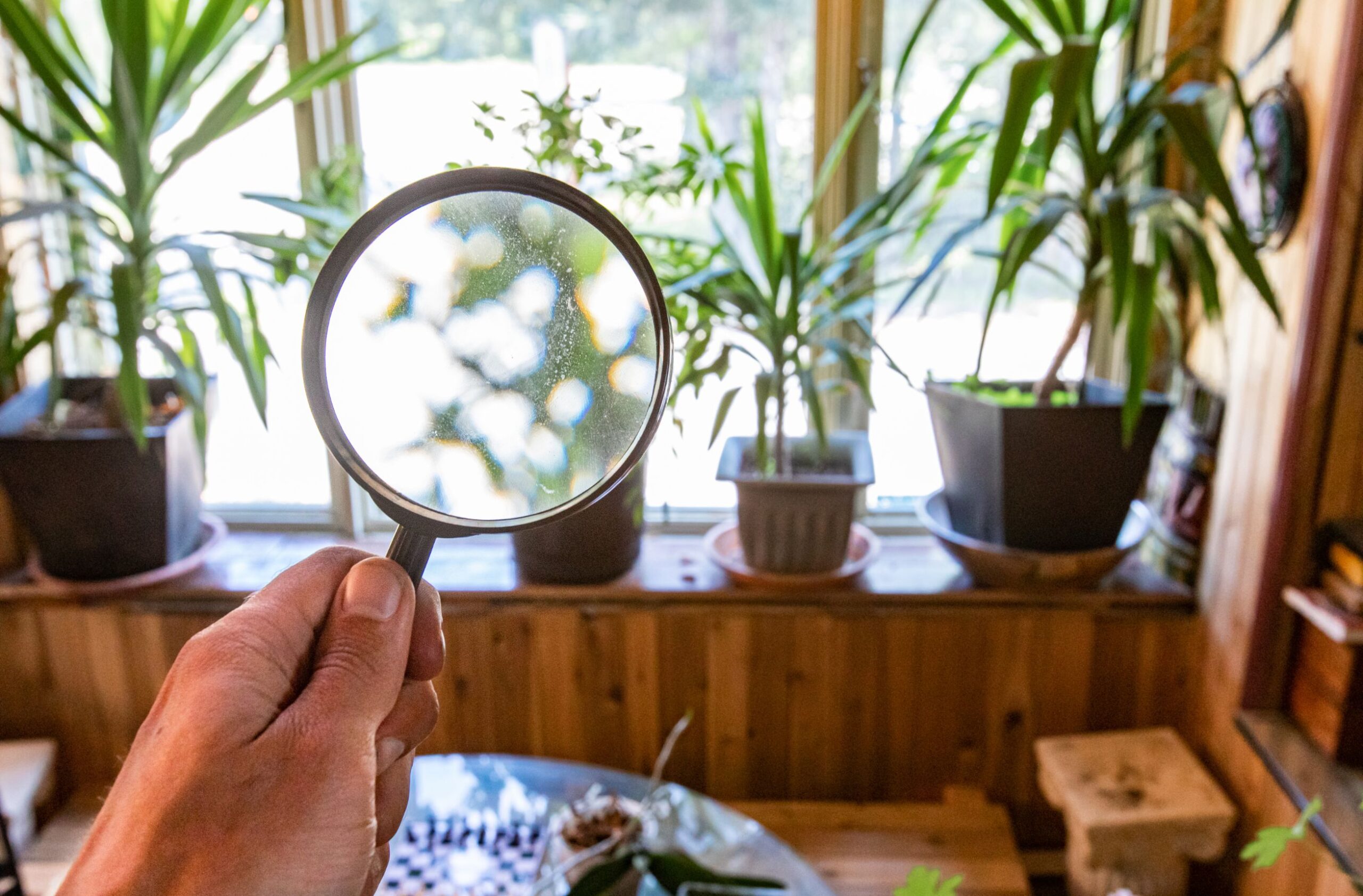 HVAC Blog 4 indoor air quality